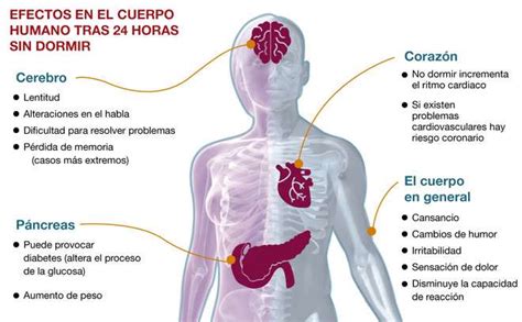 9 Partes Del Cuerpo Que Ya No Necesitamos Para Nada Y Para Qué Servían