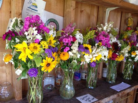 Flower Picking Farms