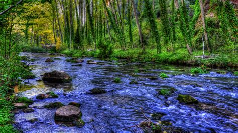 Rocky Stream In Forest Hd Wallpaper Background Image 2560x1440 Id