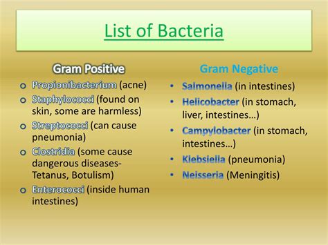 Gram Negative Types Of Bacteria