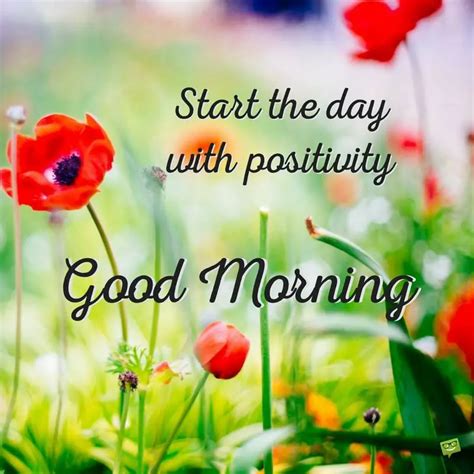 Brilliant Good Morning Quotes To Make Your Day