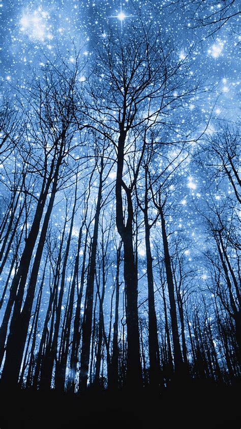 Incredible Starry Night Forest Wallpaper Ideas
