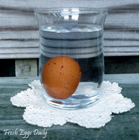 The Egg Float Test For Freshness Fresh Eggs Daily®