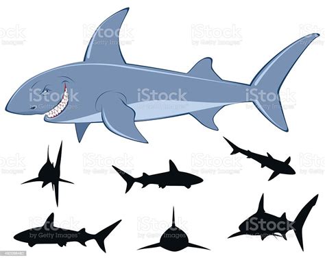 Ilustración De Seis Siluetas De Tiburones Y Más Vectores Libres De