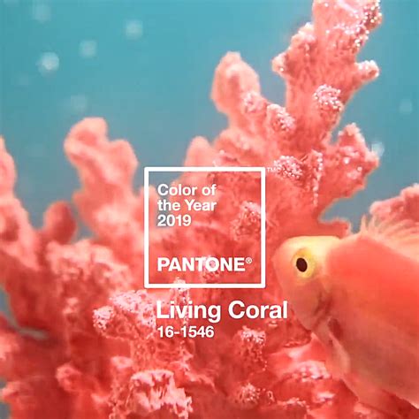 Pantone Colour Of The Year 2019 Announced Pantone 16 1546 Living