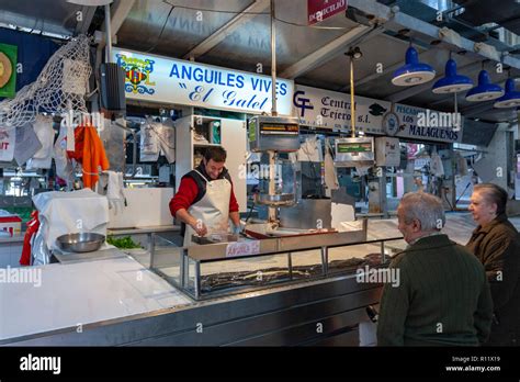 Customer Buying Live Elvers Hi Res Stock Photography And Images Alamy