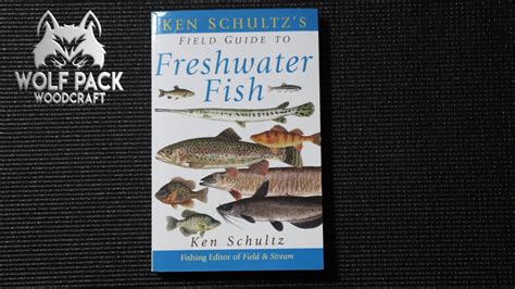 Field Guide To Freshwater Fish Youtube