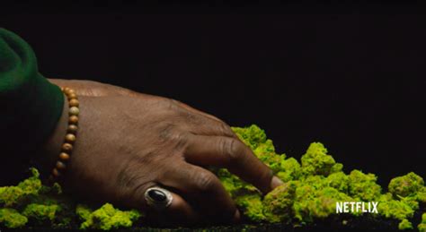 Netflix Weed Doc ‘grass Is Greener Gets A Trailer F Snoop Dogg Complex