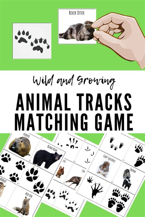 Check Out Our Newest Printable Woodland Animal Tracks Matching Game