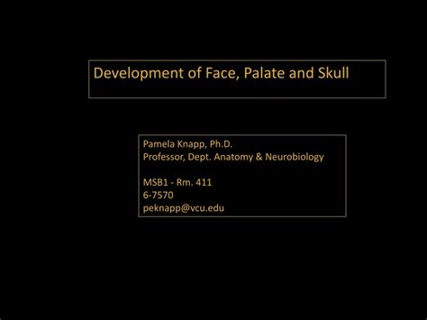 Ppt Development Of Face Palate And Skull Powerpoint Presentation