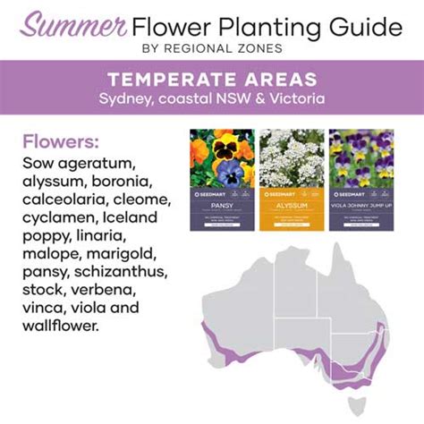 Growing Flowers This Summer In Australia Planting Guide Seedmart