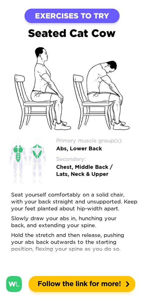 Seated Cat Cow Workoutlabs Exercise Guide