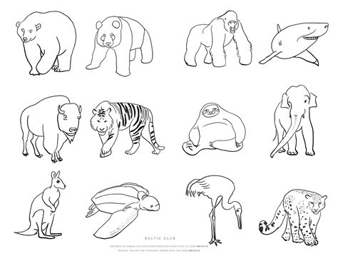 Endangered Animals Colouring Sheet