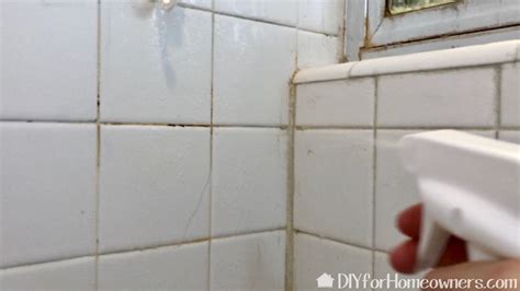 How To Clean A Shower With Wet And Forget Shower Spray Mother Daughter