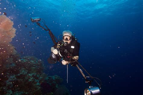 6 Steps To Becoming An Better Underwater Photographer - Underseas Scuba Center Blog