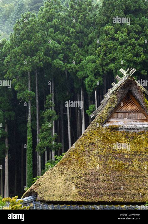 Thatched Roofed Houses In A Traditional Village Against A Forest Kyoto