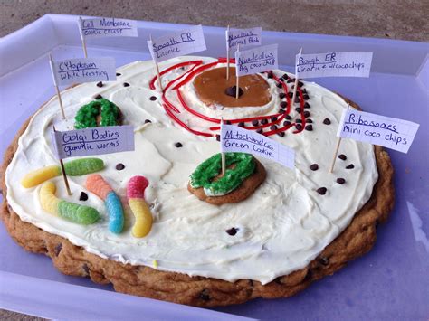 Animal Cell Cookie Animal Cell Animal Cells Model Cell Model