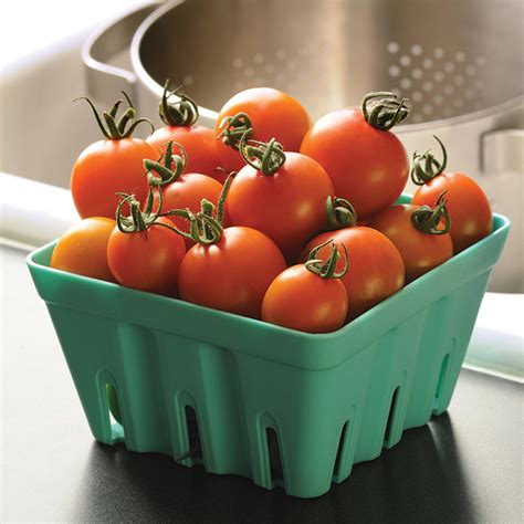 Orange Zinger Hybrid Tomato Cherrygrape Tomato Seeds Totally Tomatoes