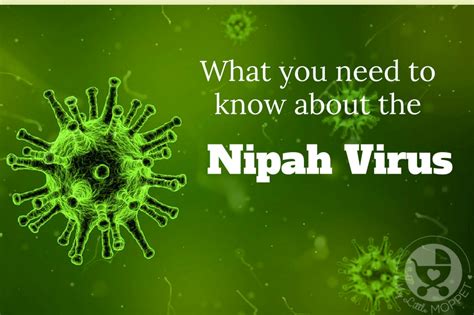 Nipah virus is the causative agent of the nipah virus infection, an emerging zoonotic disease first reported after an outbreak in malaysia in 1998. What you need to know about the Nipah Virus