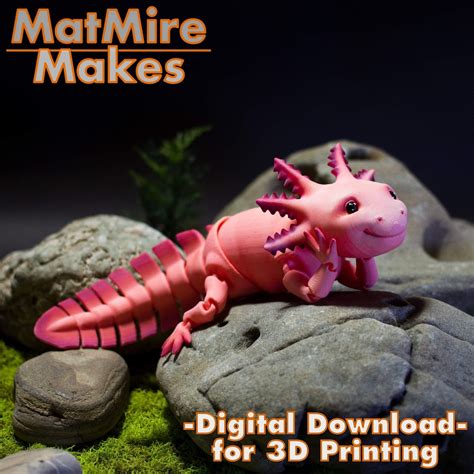 Articulated Axolotl Stl Digital File Print In Place Body Etsy Uk