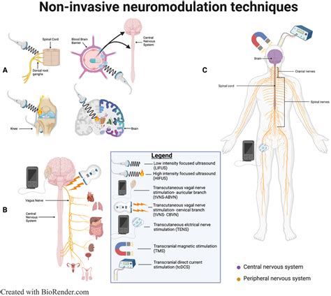 Non Invasive Neuromodulation Techniques Covered In This Review A