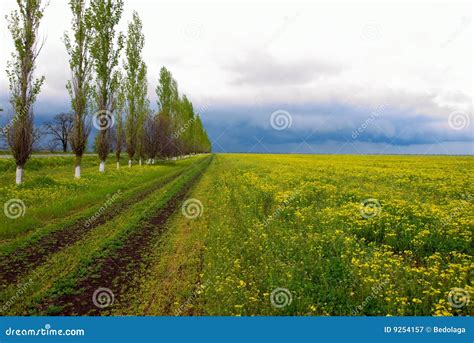 Beautiful Lands Stock Image Image Of Colored Fresh Idyllic 9254157