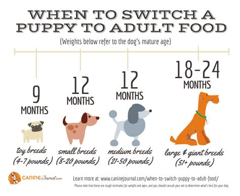 If your dog is on medication, care must be taken during the transition period onto raw. When To Switch A Puppy To Adult Food | Puppies, Dog food ...