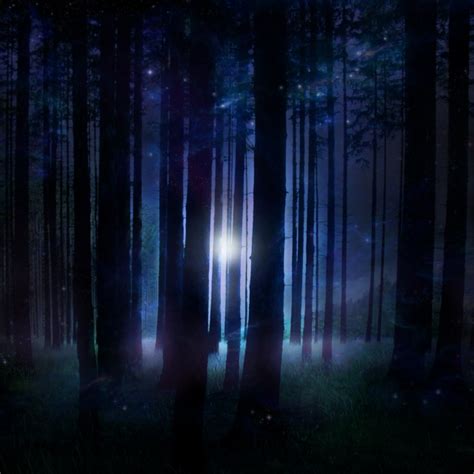 8tracks Radio Deep In The Enchanted Forest 10 Songs Free And