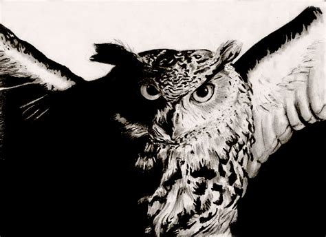The Owl Of Minerva By Sixpam On Deviantart