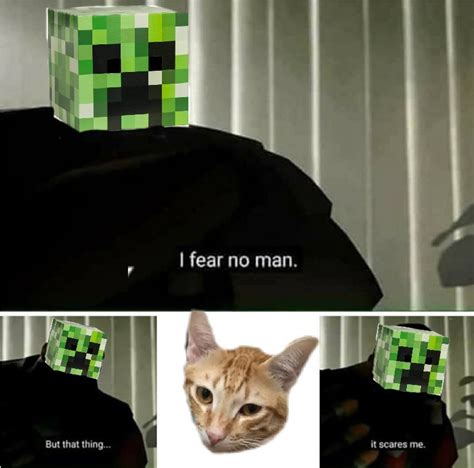 I Fear Cats Meme By Titansback Memedroid