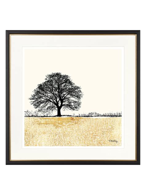 Charlotte Oakley Tree In Golden Field Framed Print And Mount 36 X 36cm