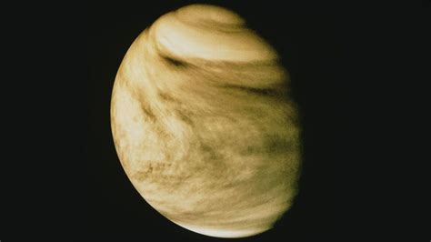 Transit Of Venus Spotting Earths Evil Twin Bbc Future