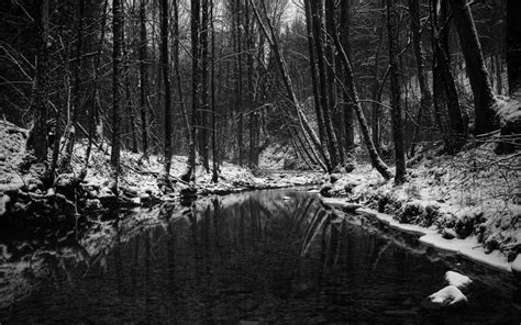 Black And White Snow Wallpaper 45 Images