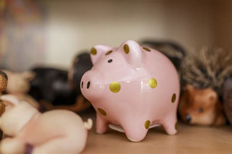 Pink Piggy Bank With Golden Dots On A Shelf Photo 5693 Motosha