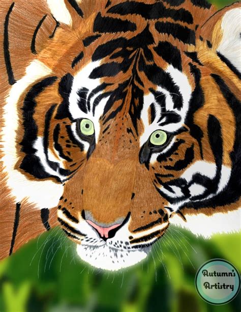 Sumatran Tiger Art Print Etsy