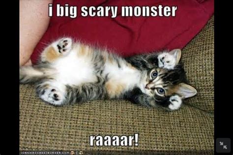 Im A Big Scary Monster Raar Petsanimals Cute Cats Kittens