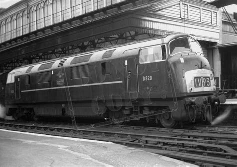 Rail Online Class 42 Warship D829 1962 09 18 Exeter