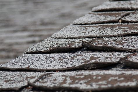 Roof Shingles Curling Up Edges