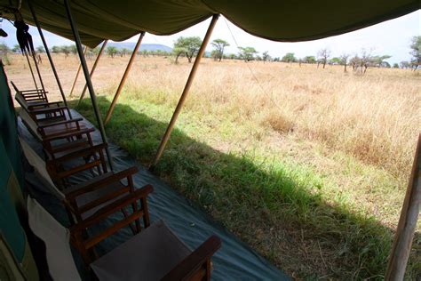 top 5 budget safari lodges and tented camps in tanzania adventures within reach travel blog