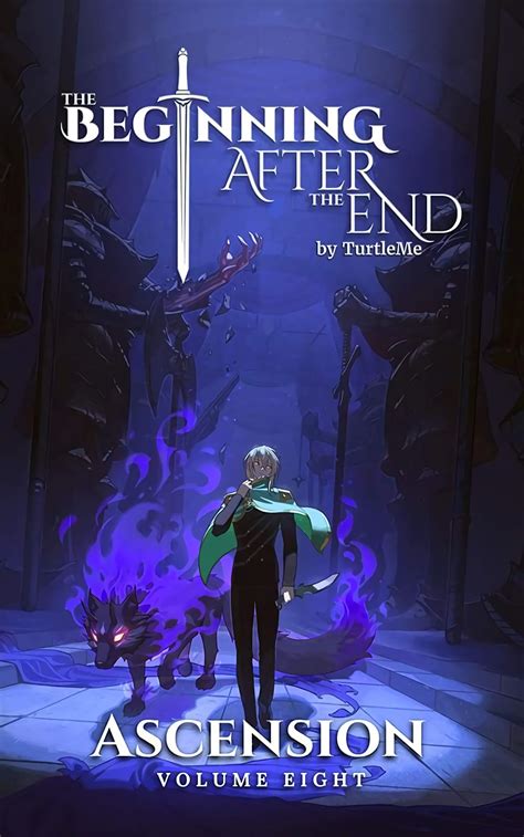 The Beginning After The End Novel