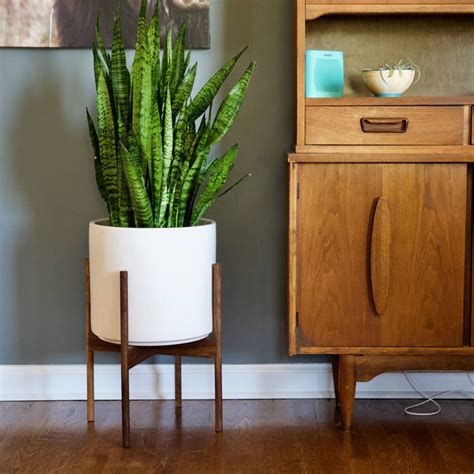 Third and final choice from westelm (although they do have some others you know, worth a look if you're on the hunt). Classic Mid Century Modern Plant Stand | Wood Plant Stand ...