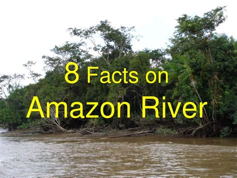 8 Things To Know About Amazon River By Twinkle Sebastian Via Slideshare