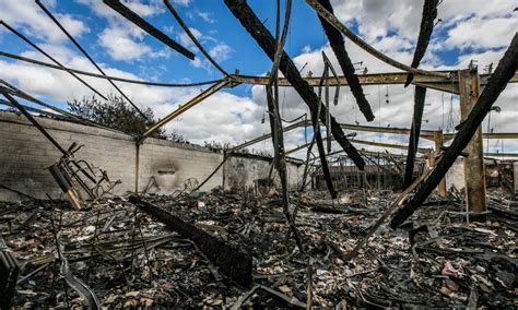 Fife Zoo Yet To Receive Insurance Payout Nearly Two Years After Fire