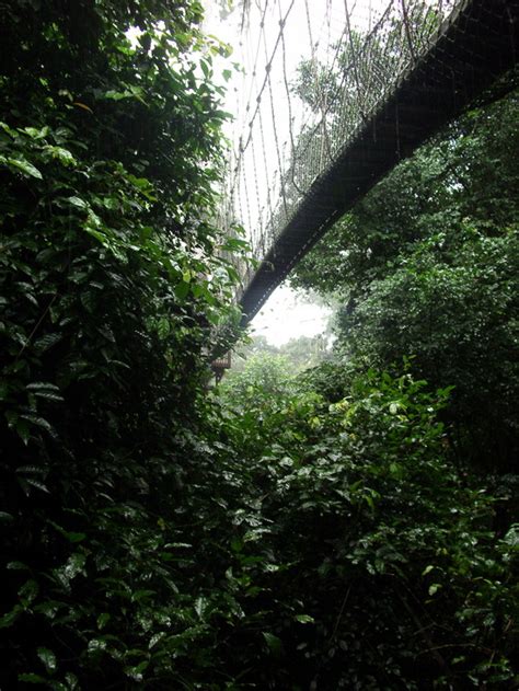 We drove down to the cape coast from accra (about 3 hours), and this national park was 1 hour off the beaten path (it actually was a beaten path to get there), but it. Dangerous roads and bridges: Kakum National Park Canopy ...
