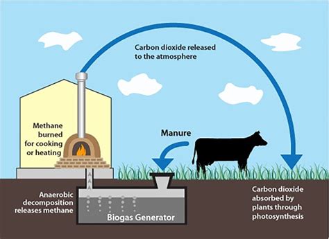 Residential And Community Scale Biogas A Missing Link Green Energy