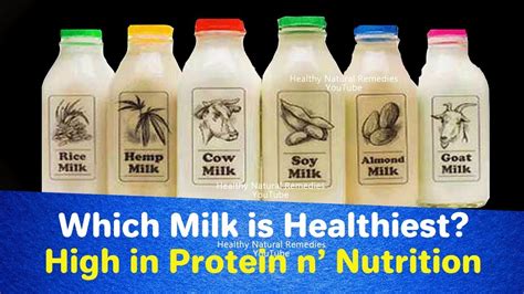 Which Milk Is Healthiest And Highest In Protein And Nutrition Youtube