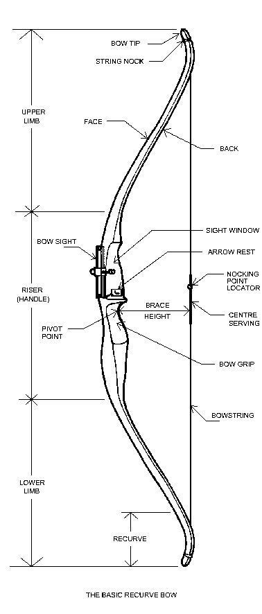 Anatomy Of A Recurve Recurve Bows Archery Bows