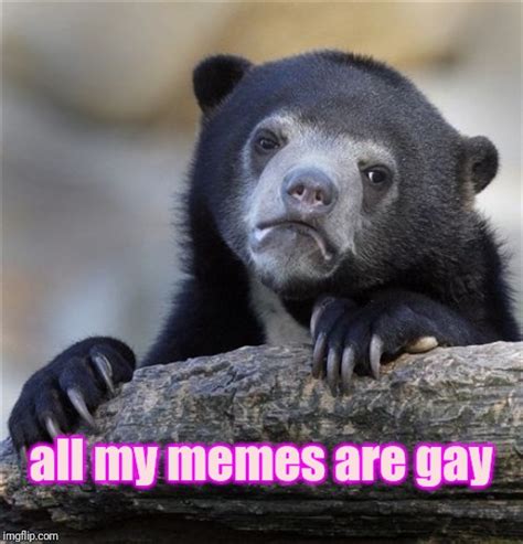Confession Bear Meme Imgflip