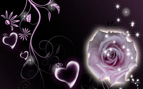 Hd Rose Hearts Wallpaper Download Free 92279
