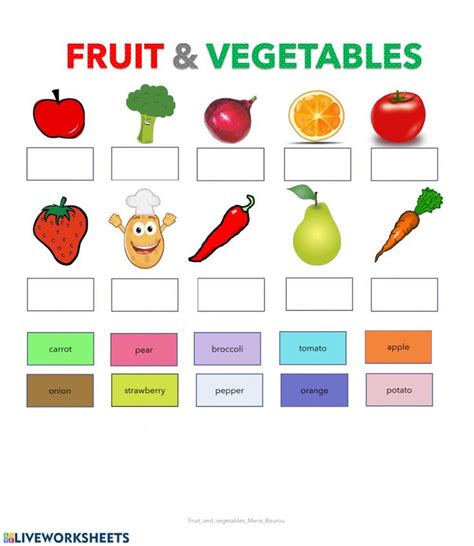 fruit  vegetables  worksheet   grammar  kids